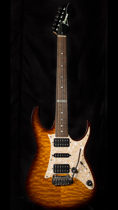 Ibanez Custom Shop Rg Larry Mitchell